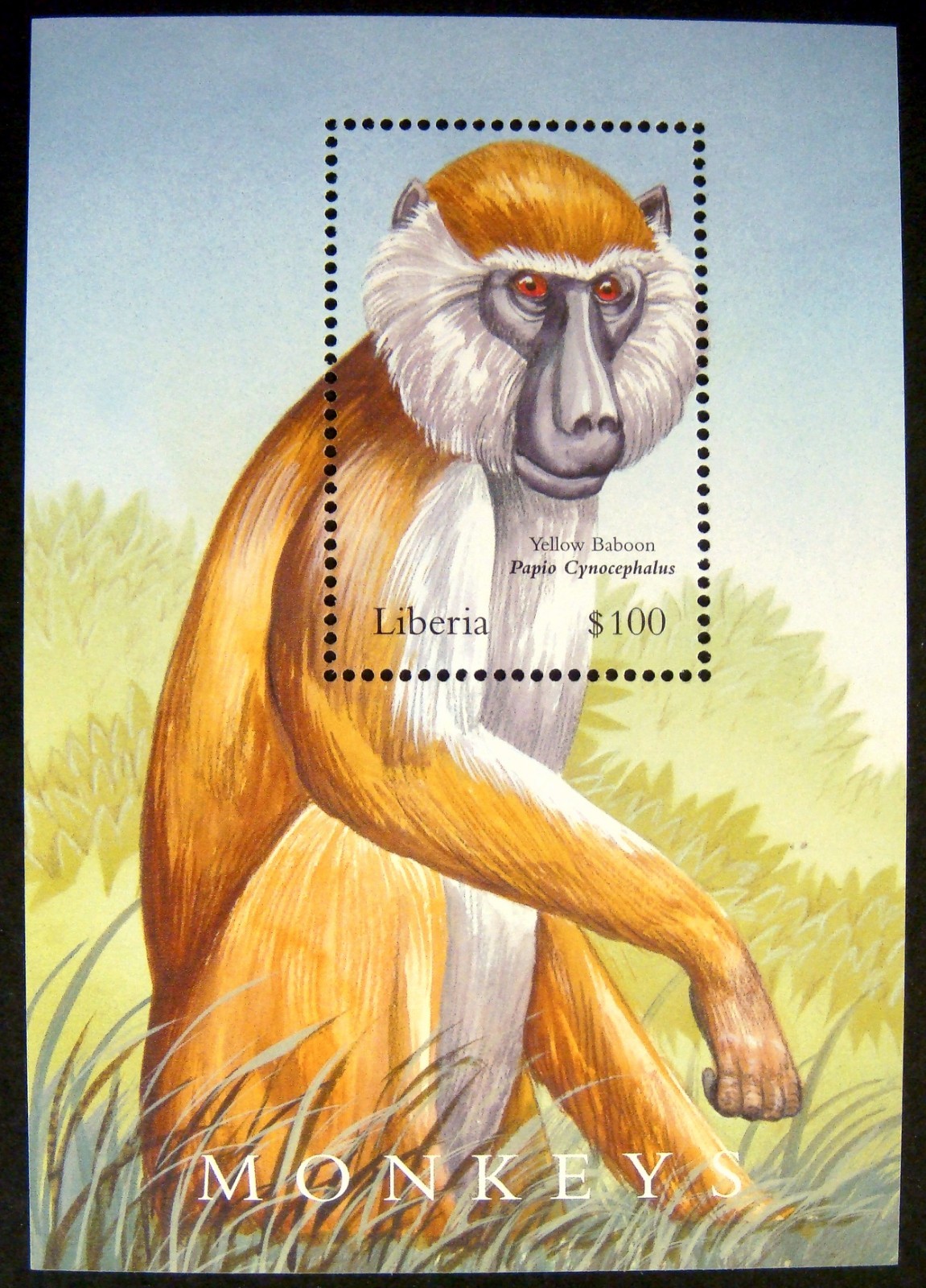 LIBERIA BABOON STAMPS SOUVENIR SHEET 2002 MNH NATURE WILD ANIMALS MONKEY APE 1