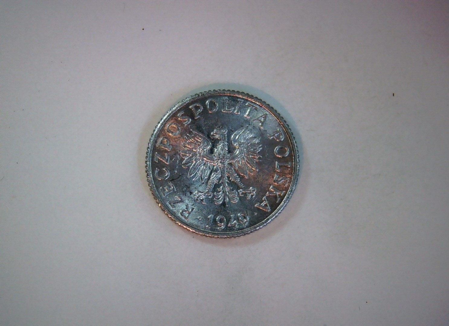 Poland 1949 1 Grosz People's Republic of Poland (PRL) 1 Grosz Coin