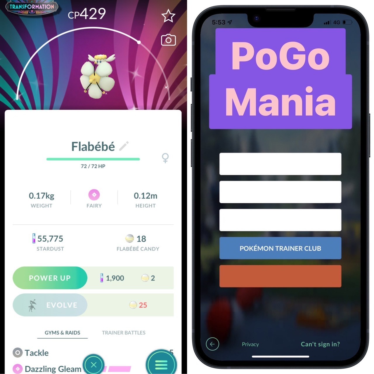 Shiny Flabébé (White Flower)✨2025 CDay Special Background✨mini PTC 20k✨