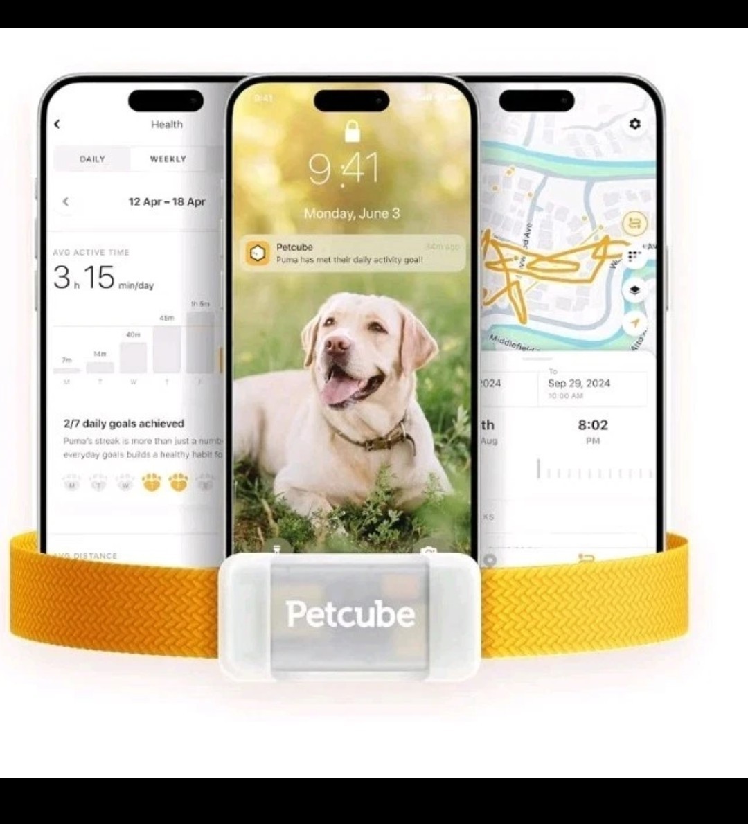 Petcube GPS Dog Tracker