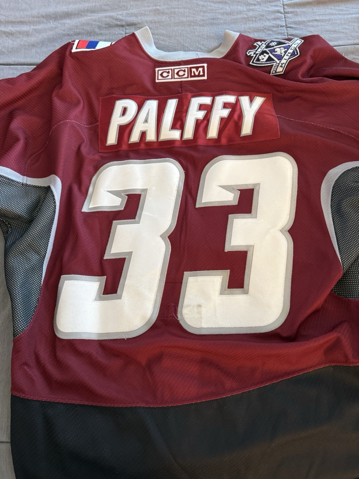 CCM Palffy #33 2002 NHL All-Star Game Used Hockey Jersey Fight Strap Patches