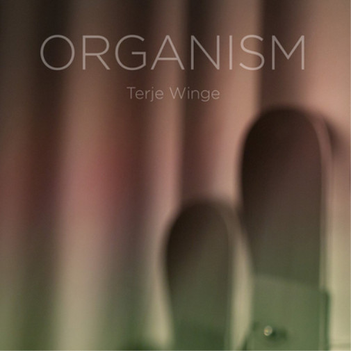 Terje Winge Terje Winge: Organism (CD) Hybrid with Blu-ray Audio