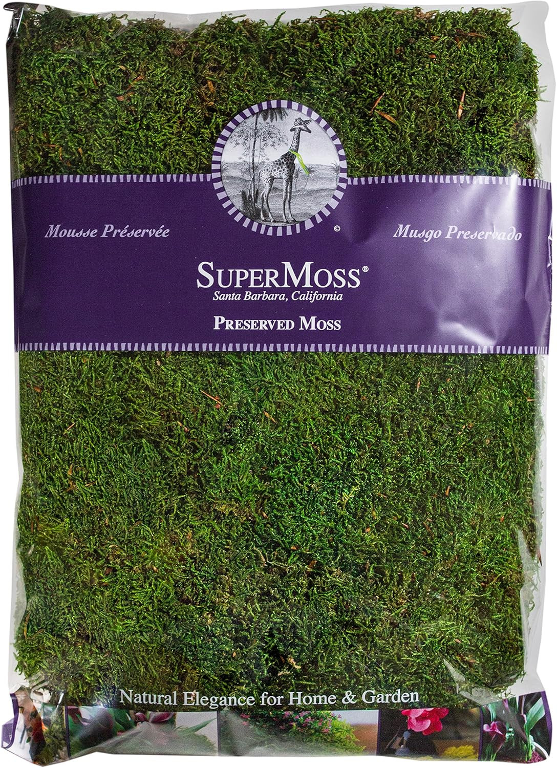 Super Moss 21513 Preserved Sheet Moss, Fresh Green, 16-Ounce