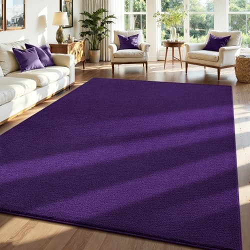  6x9 Rug for Living Room, Soft Memory Foam Carpet with 6ft x 9ft Purple