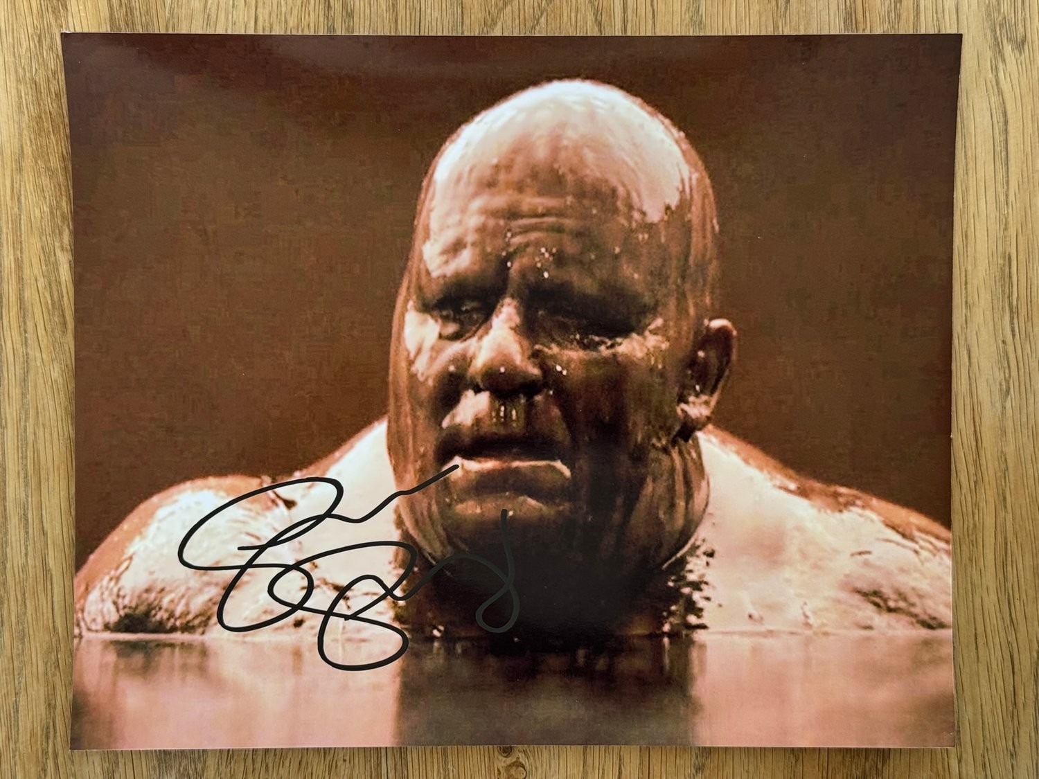 Genuine Autograph Stellan Skarsgård 20x25cm