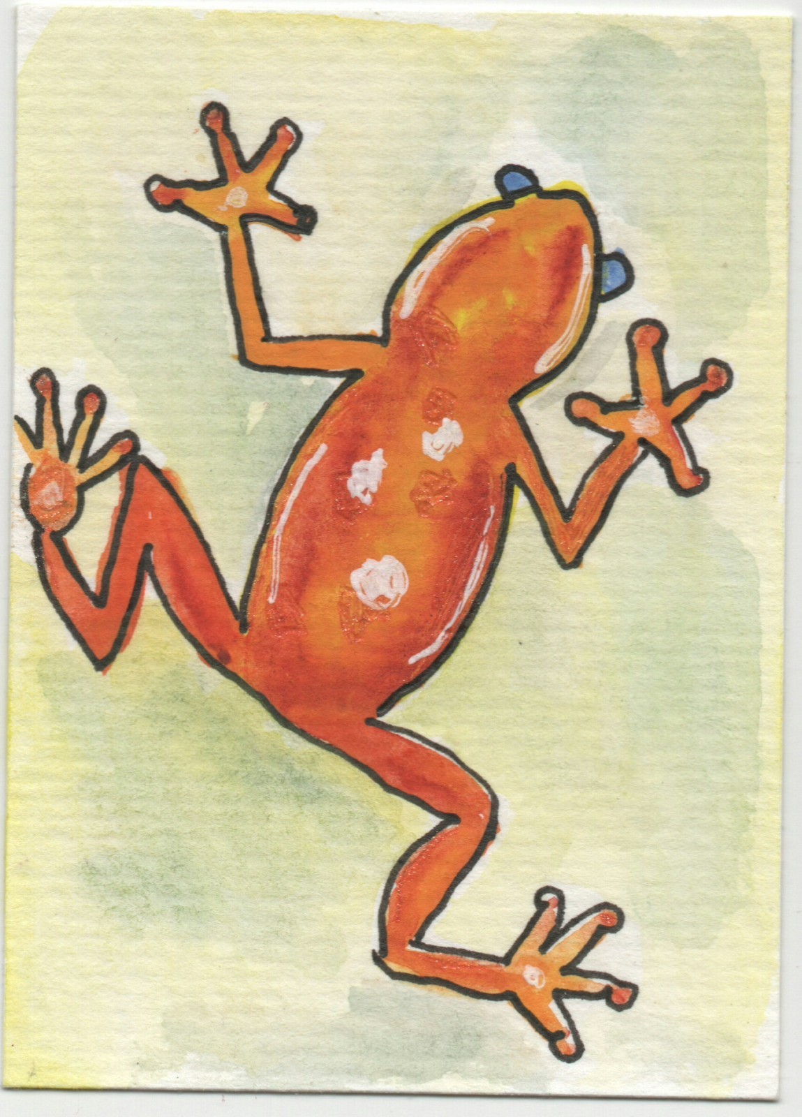 ACEO original art "Tangerine Dream" Frog 