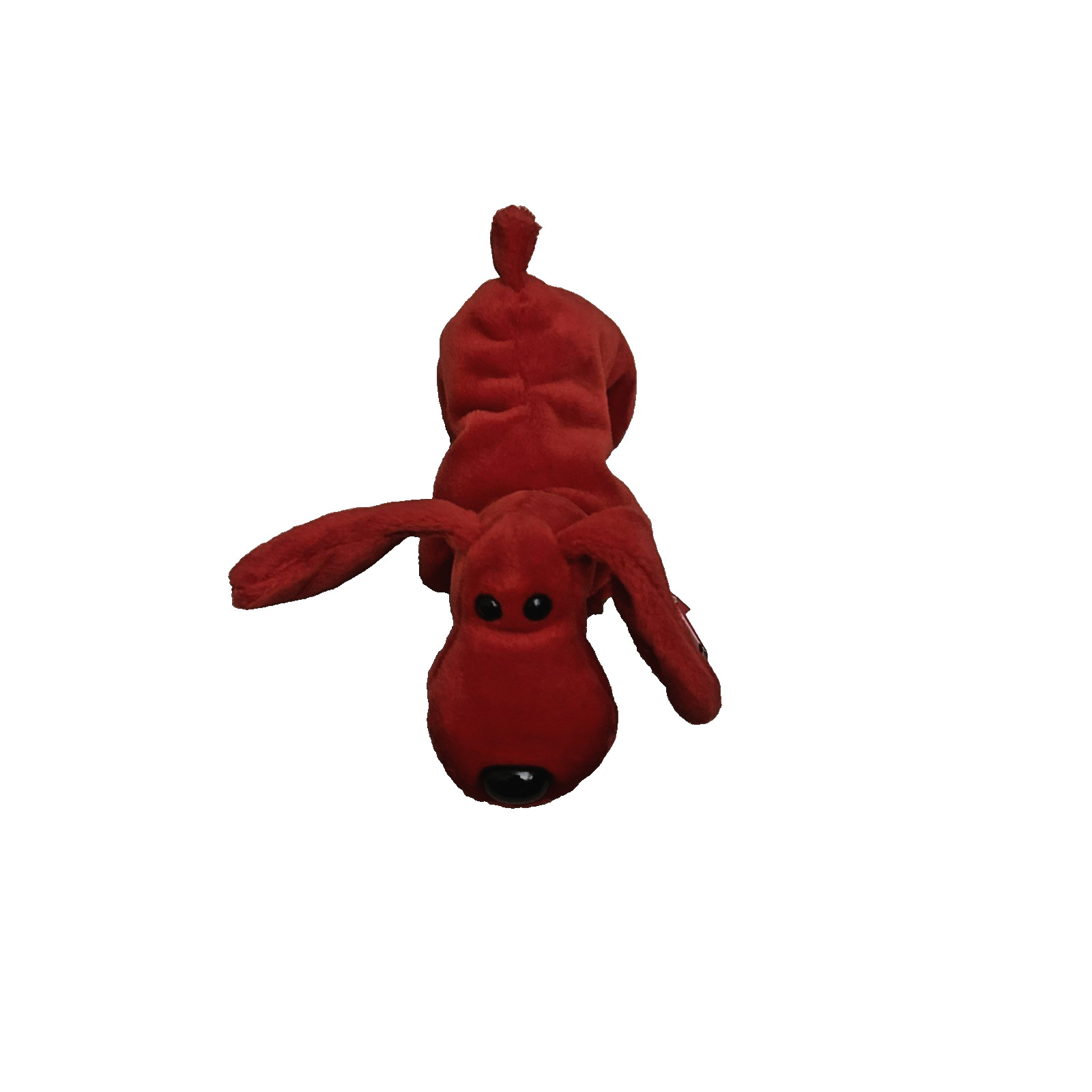 Ty Beanie Baby Rover the Dog  DOB May 30, 1996 MWMT Free Shipping