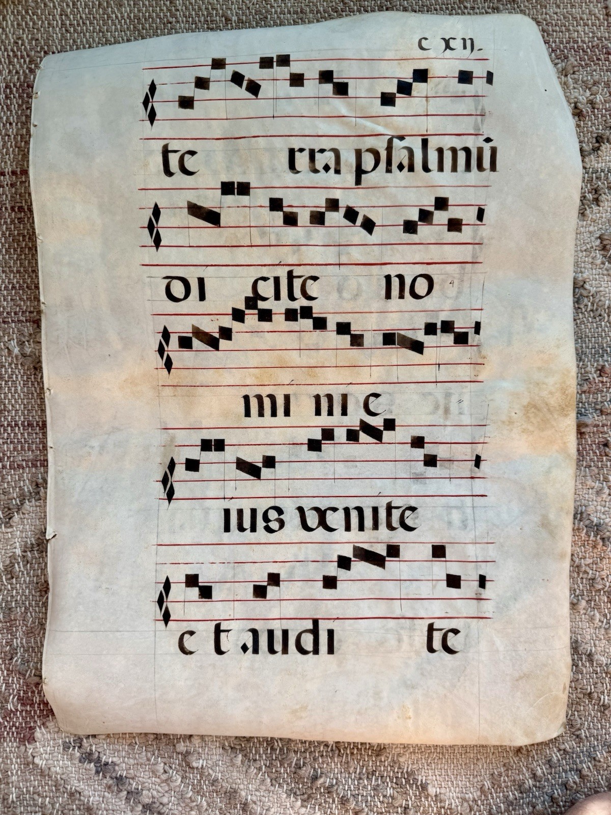 Medieval Gregorian Chant Manuscript Leaf c.1500 Antiphonary Vellum Large Initial