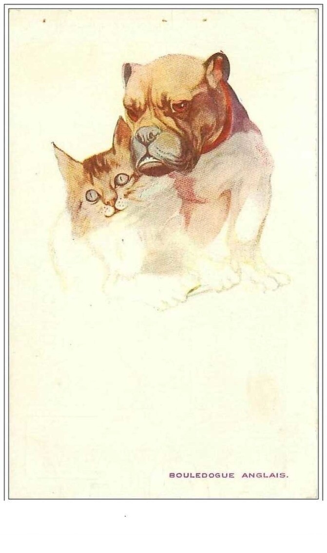 Cats No. 1446 Portrait Of A French Bulldog And Cat