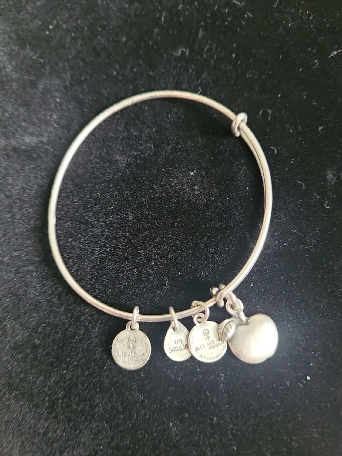 alex and ani bracelet Bangel Silvertone Apple, Recycling made W love flag Energy