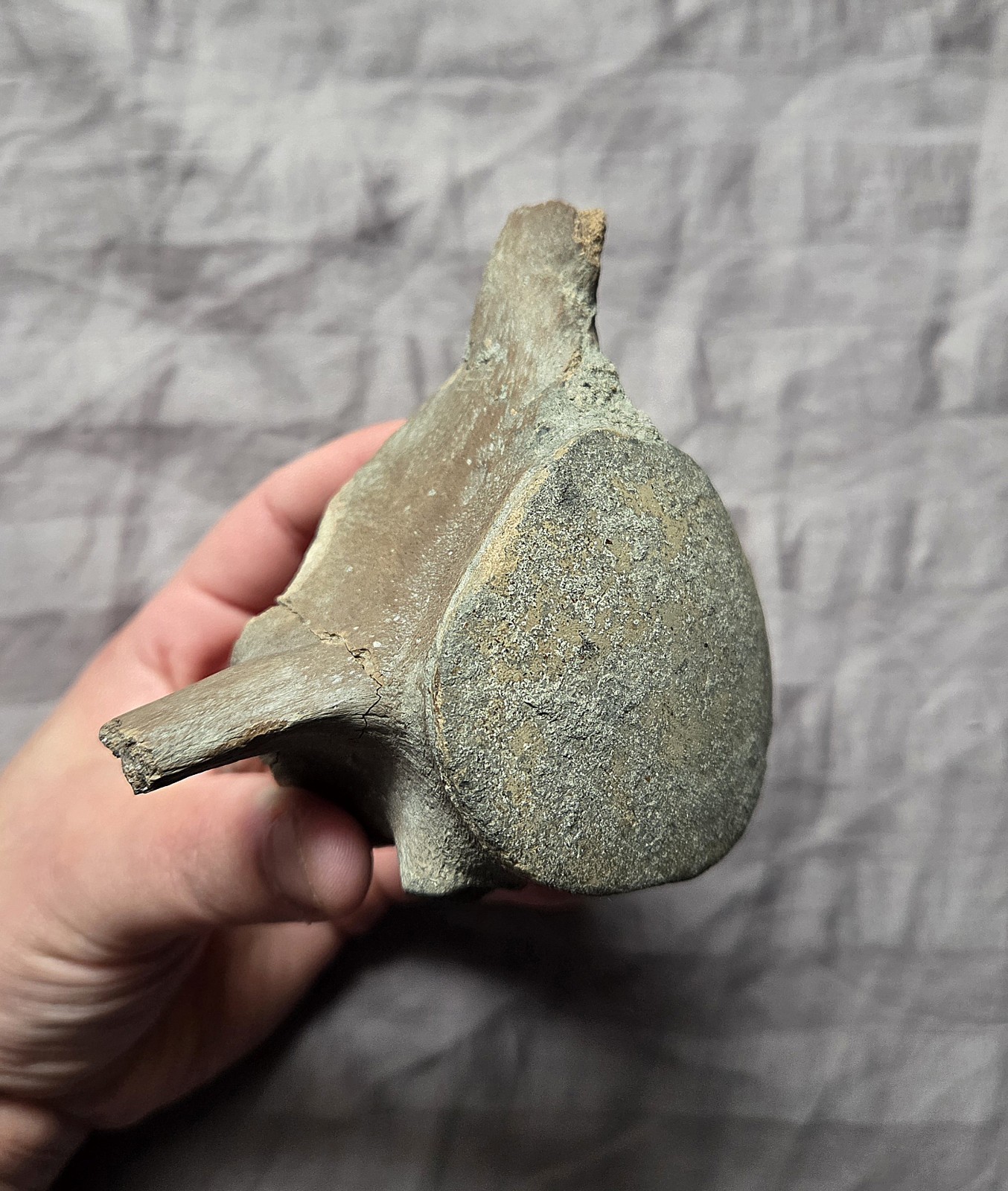 Very Rare Quality Crystal Mosasaurus Sp. Vertebra Reptile Bone Dinosaur 