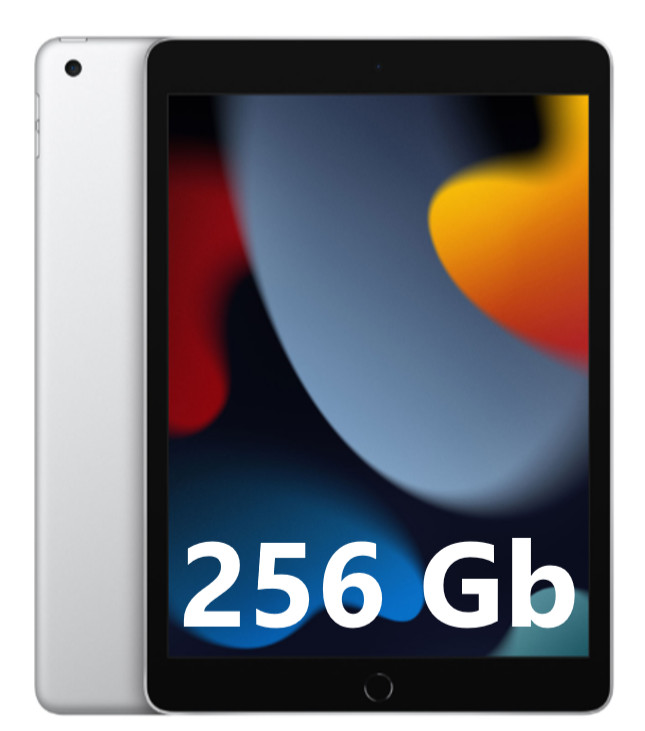 Apple iPad 9th Gen 256 GB A13 Bionic chip, 10.2-inch Retina. Silver