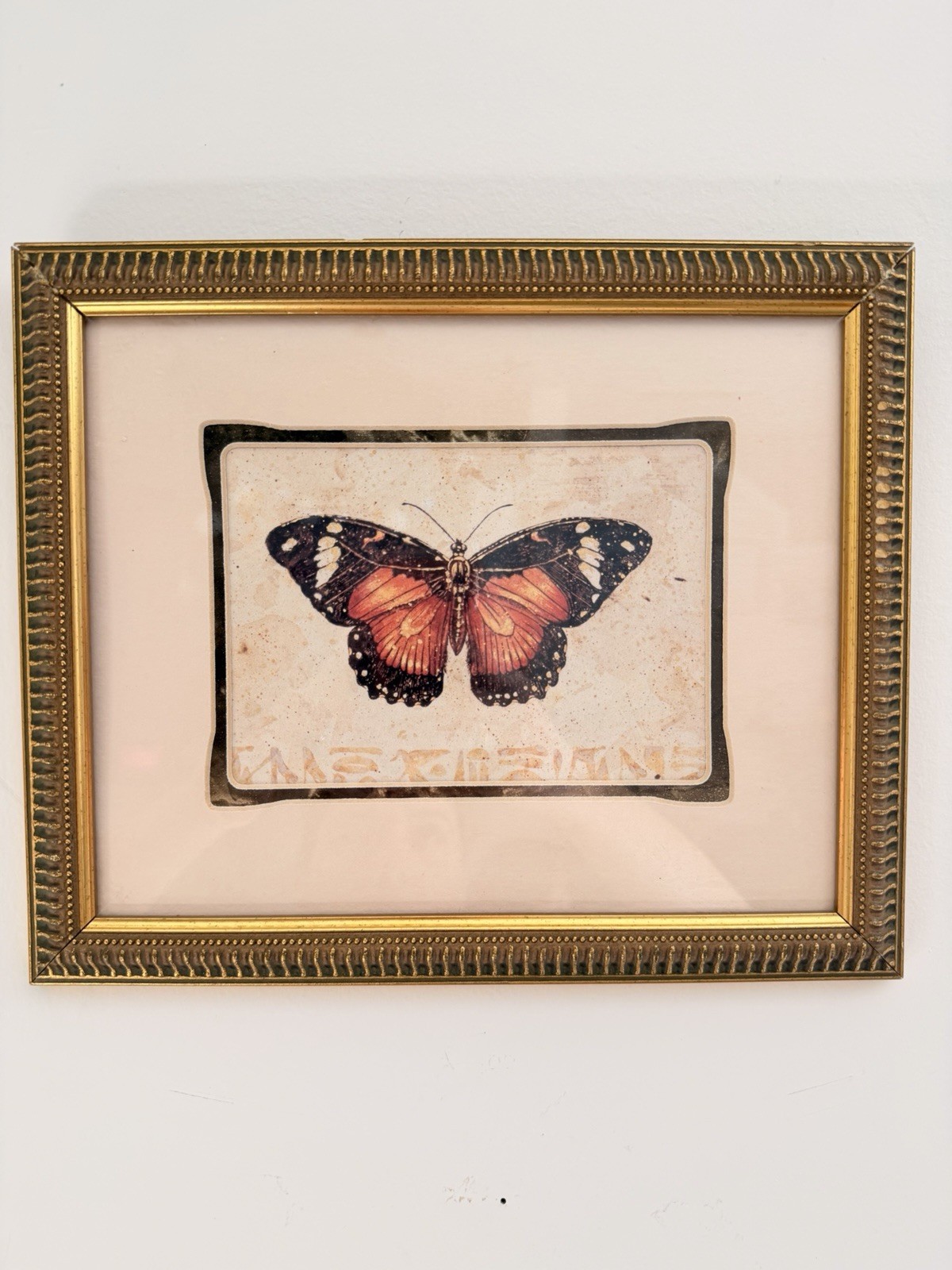 Vintage Butterfly Botanical Art Print Ornate Gold Frame 10x12 Monarch Wall Decor