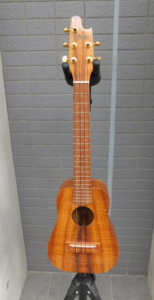 Ceniza By T K Concert5 String Safe delivery from Japan