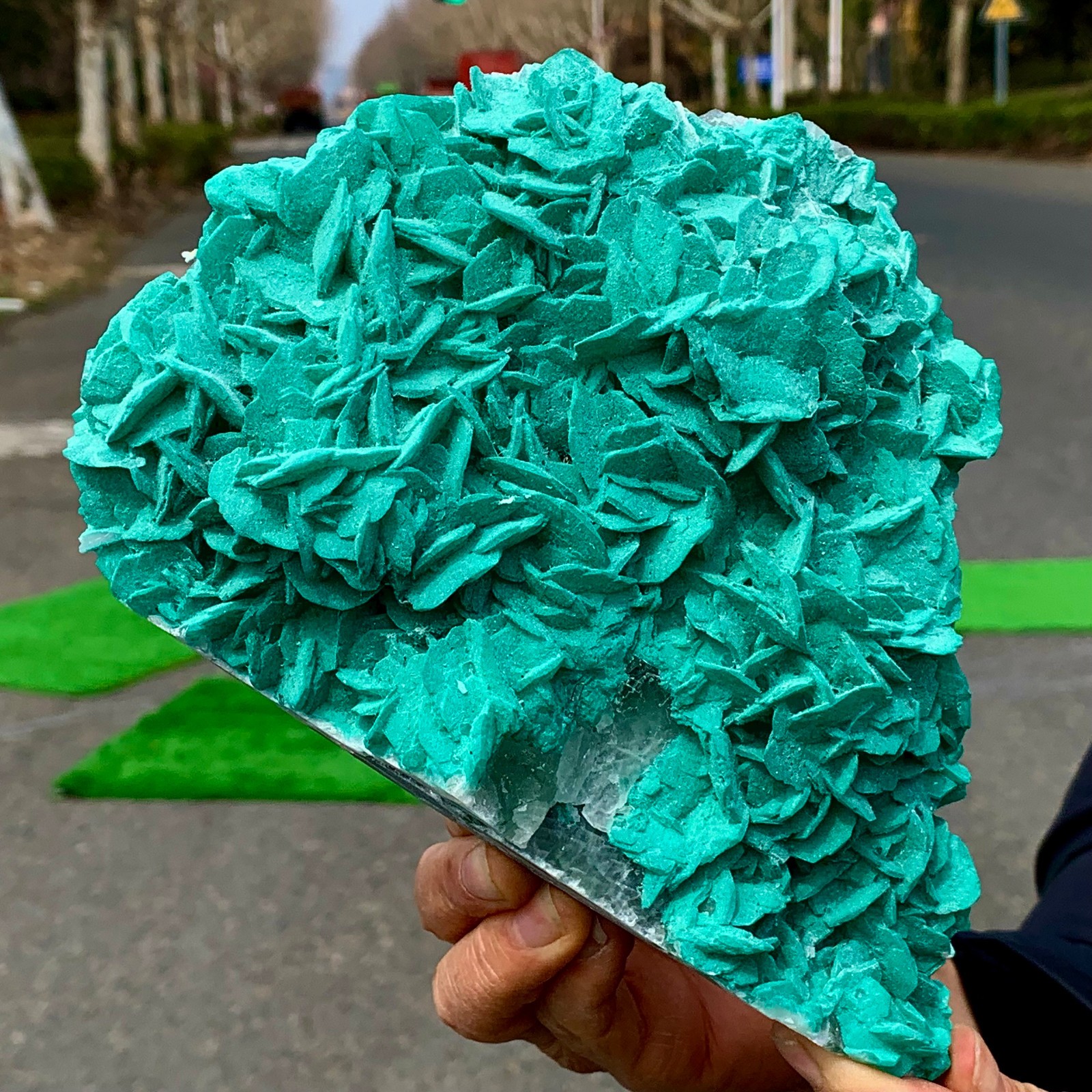 4.6LB Natural green dioptase emerandine+azuritegemstone cluster mineral specime