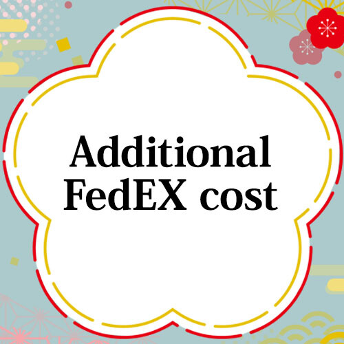 fedex additional shipping