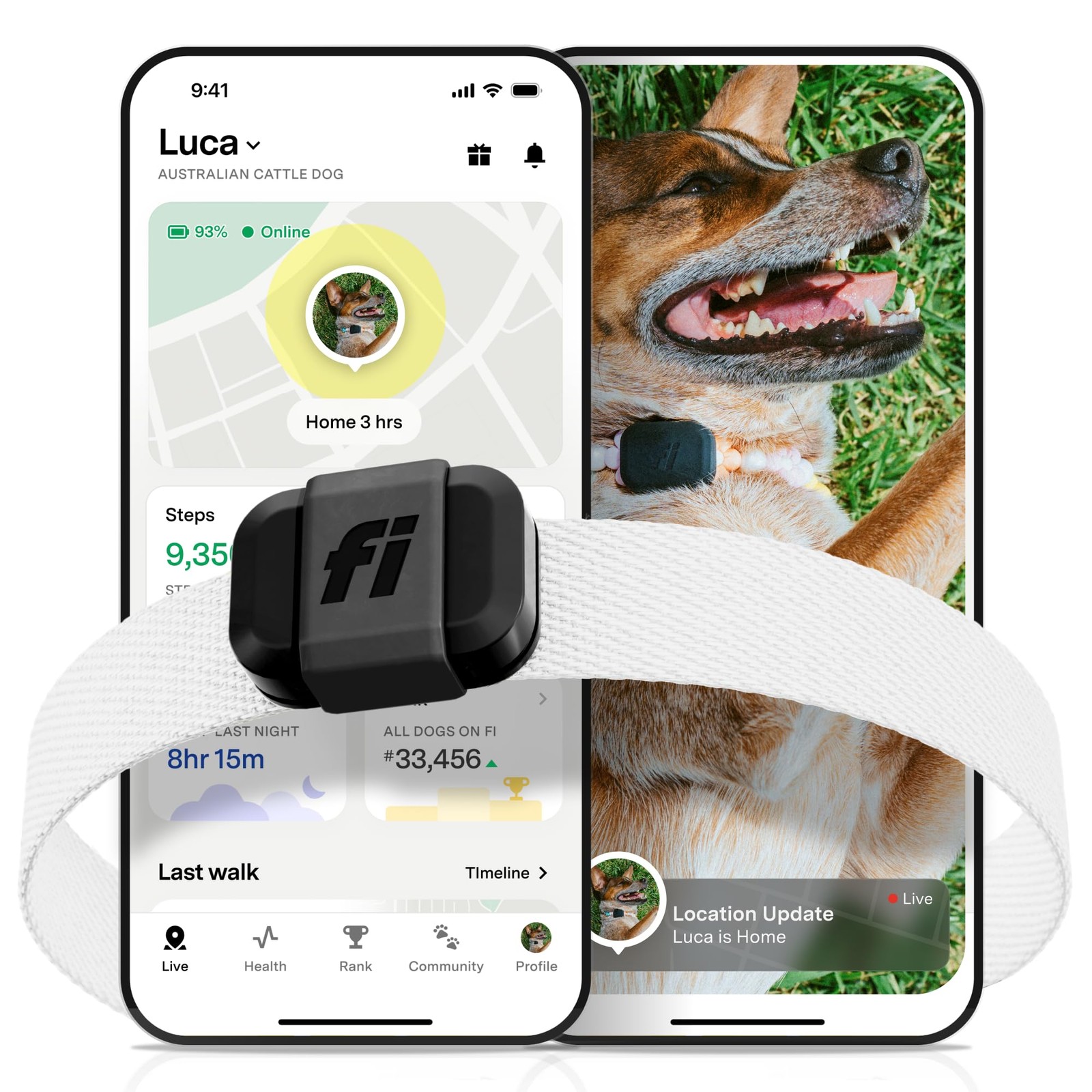 Fi Mini GPS Tracker for Dogs — 12-Month Membership Included — Smart Pet Track...