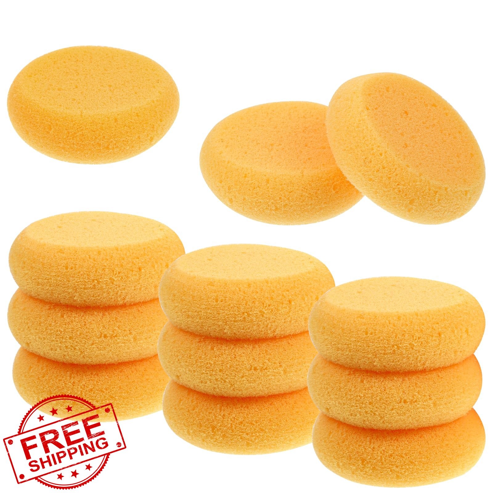 IANFAN Pottery Sponges 12 Pcs Round Clay Water Absorption Crafts