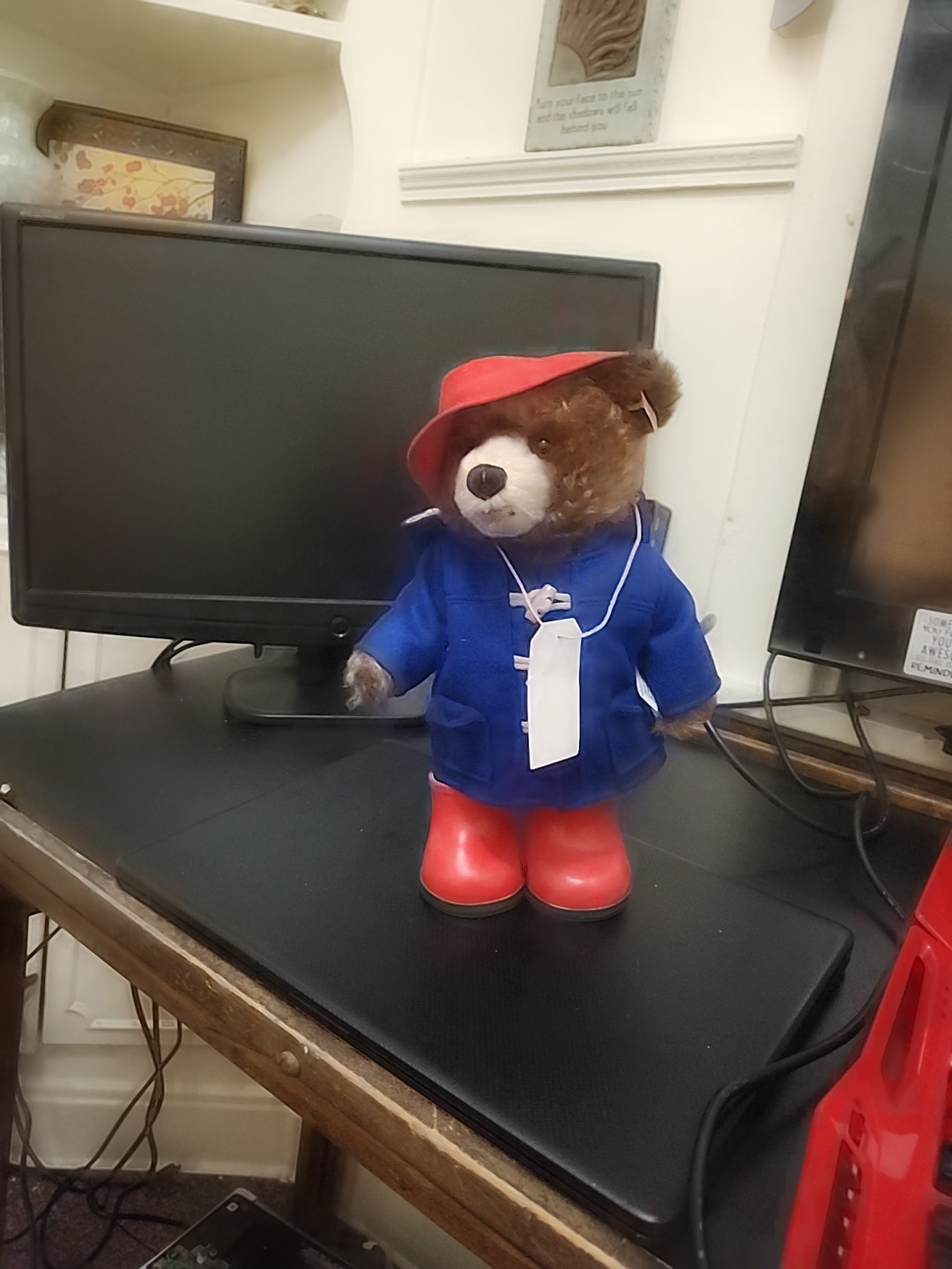 Steiff Paddington Plush Bear Limited of 2000