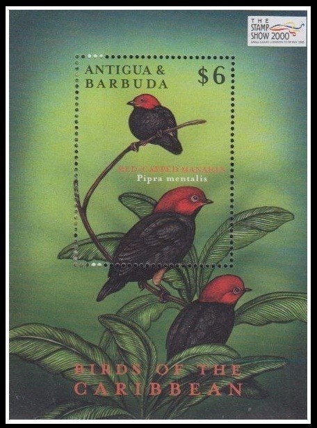 Antigua & Barbuda 2000 MNH MS, Birds, Red-capped Manakin -