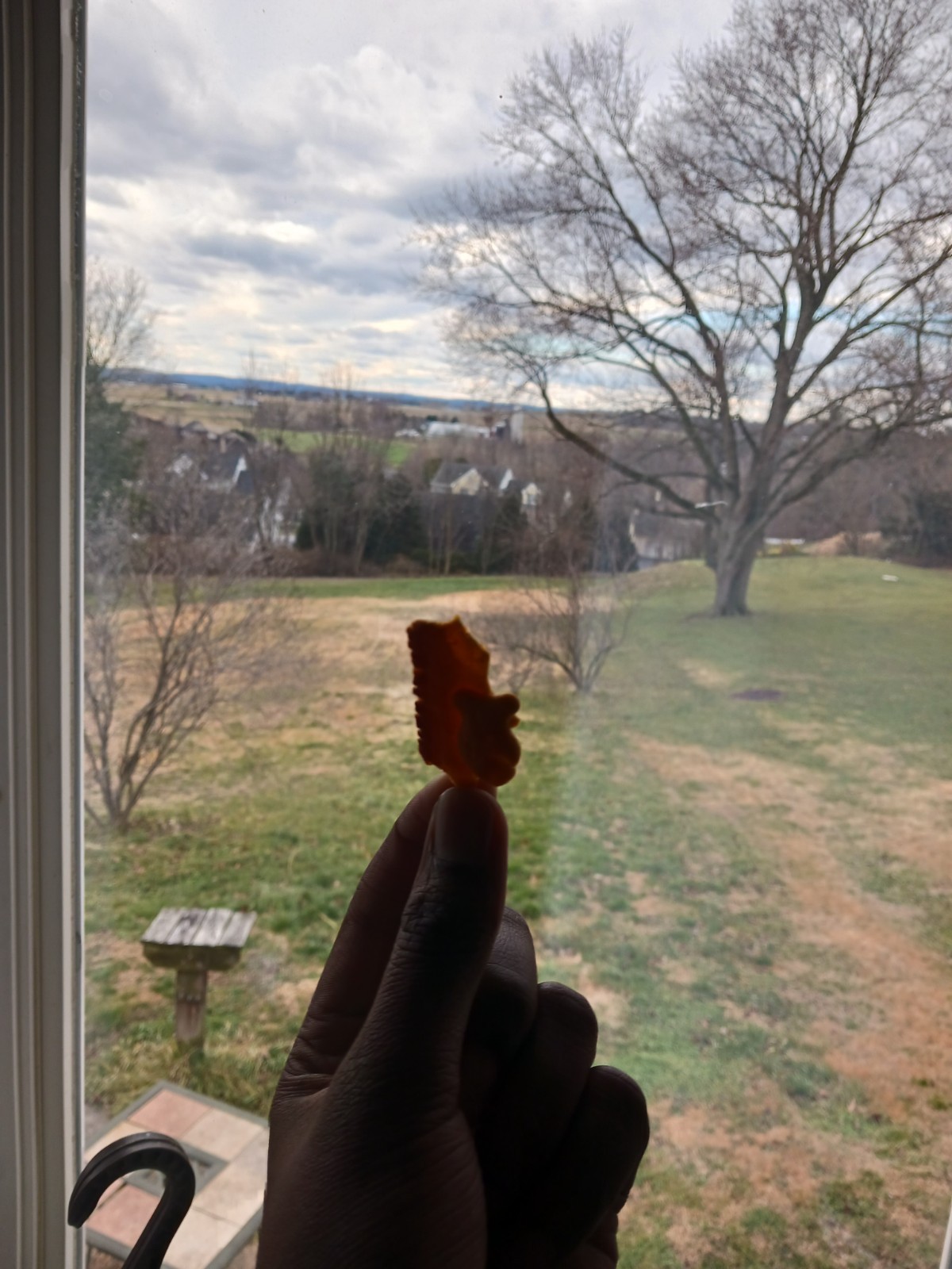 weird goldfish chip thingy. It's yellow ig. New.  Never eaten.  3 dimensional.