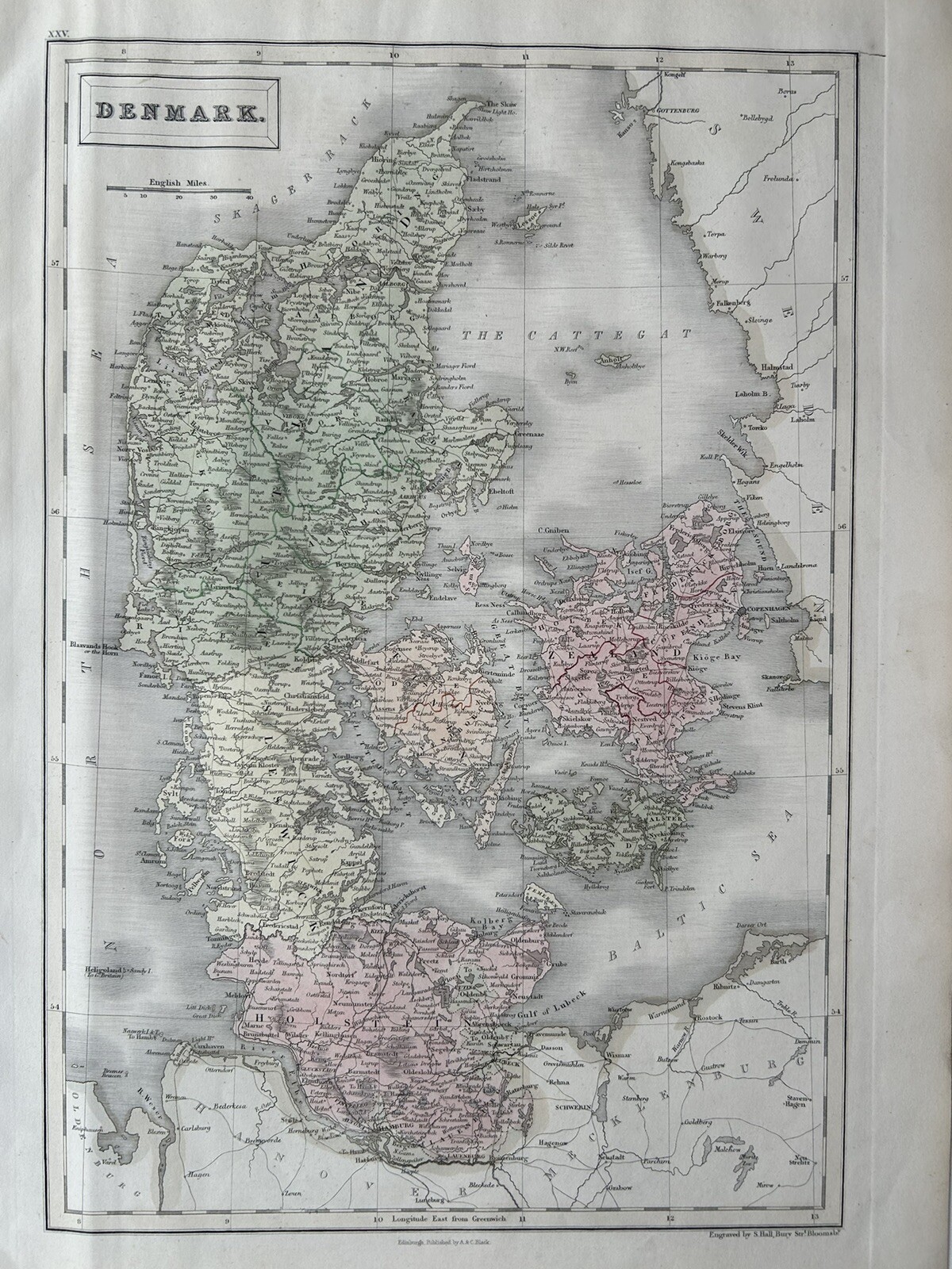1851 Denmark Hand Coloured Original Antique Map by Selina Hall
