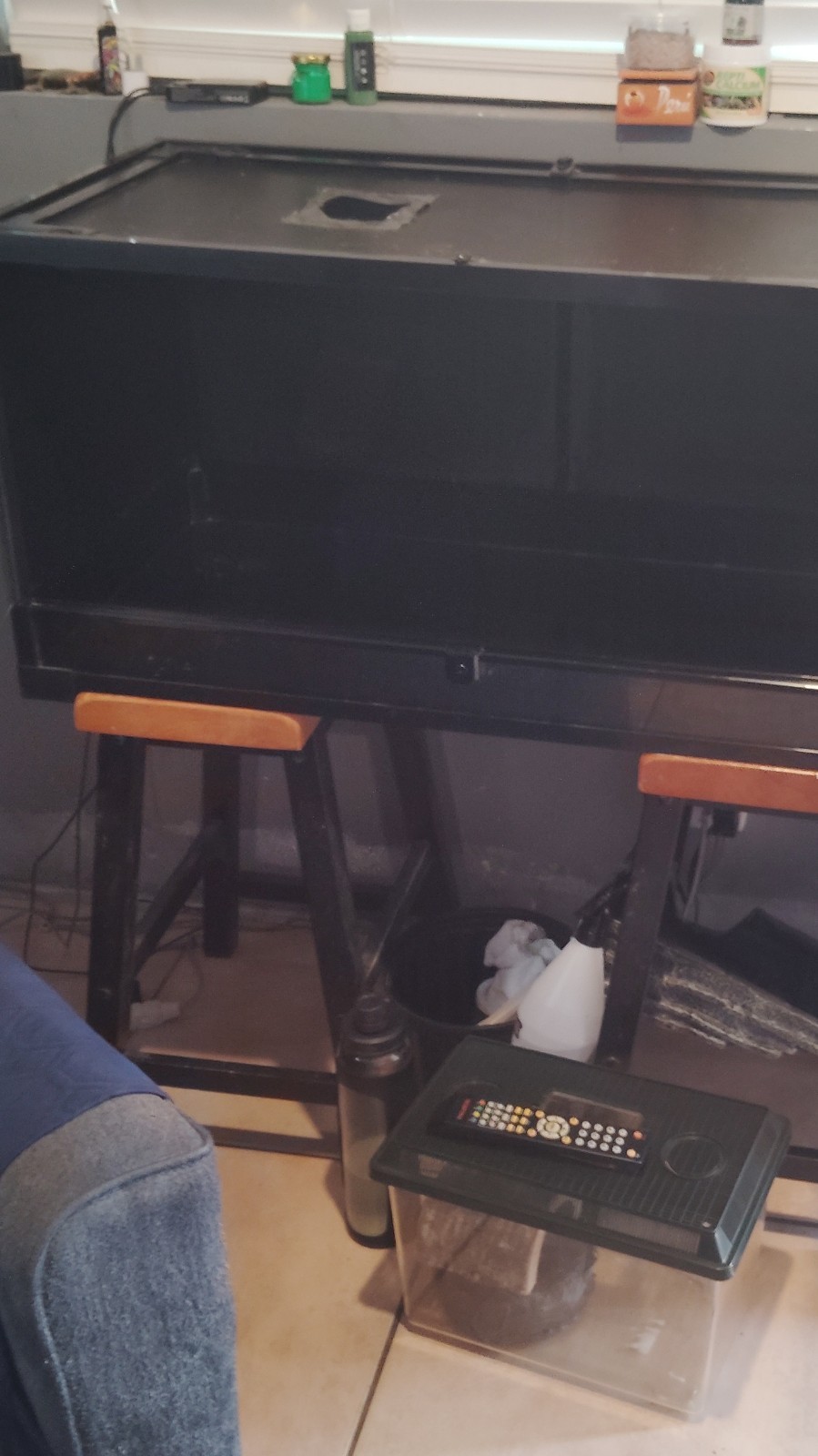 Large Black Glass Reptile Enclosure with Locking Doors & Ventilation