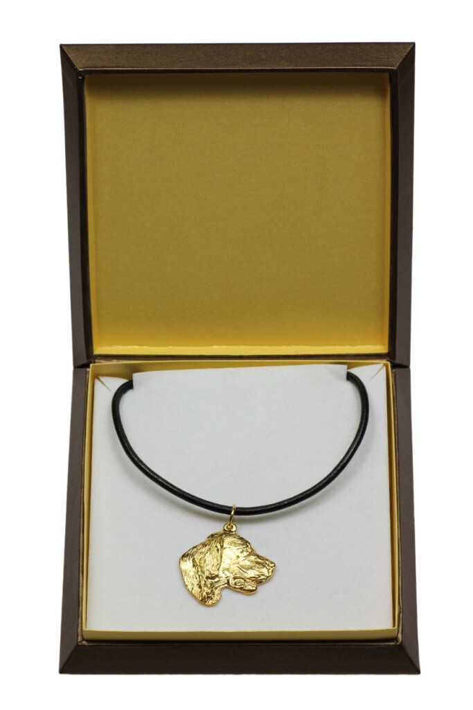 English Setter, English Setter - Dog Collar IN Geschenkbox, Gilded An