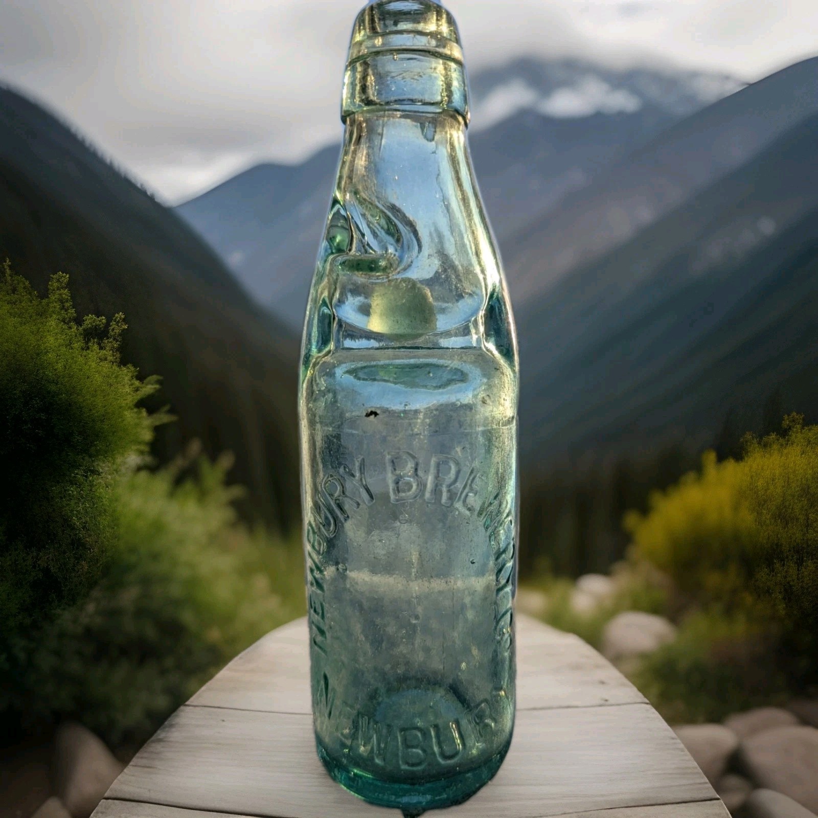 newbury brewery Codd Bottle