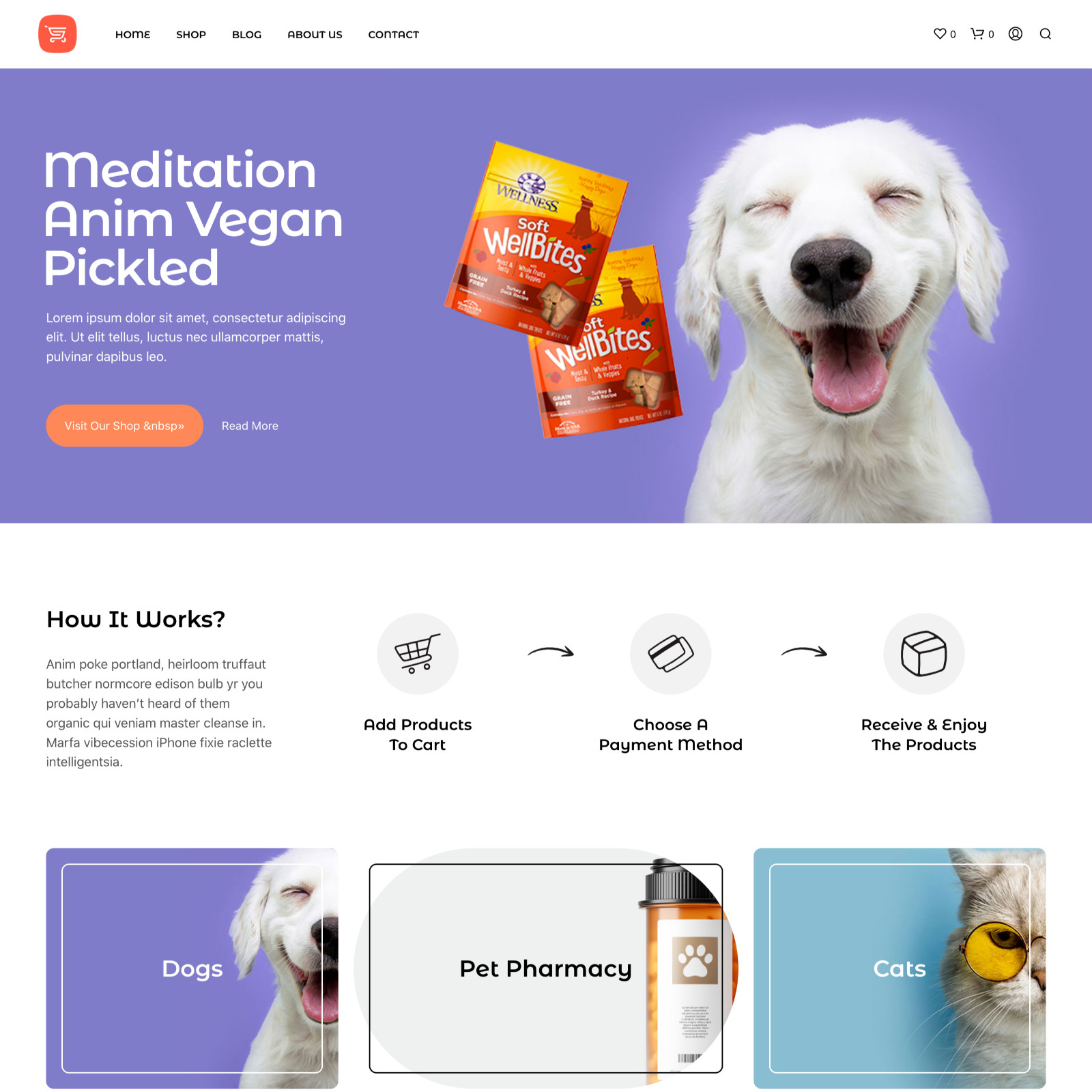 Pet Care Store Website Design for Sale with Free VPS Web Hosting