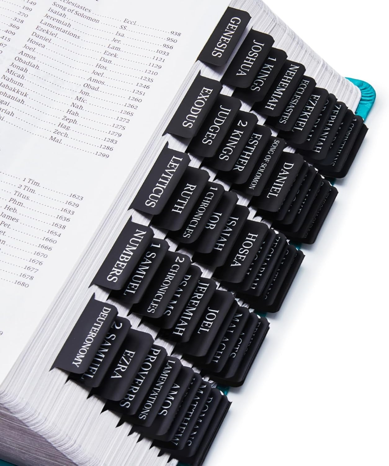 Laminated  for Women & Men - Large Print Tabs for Study Bibles, Boho Theme for E