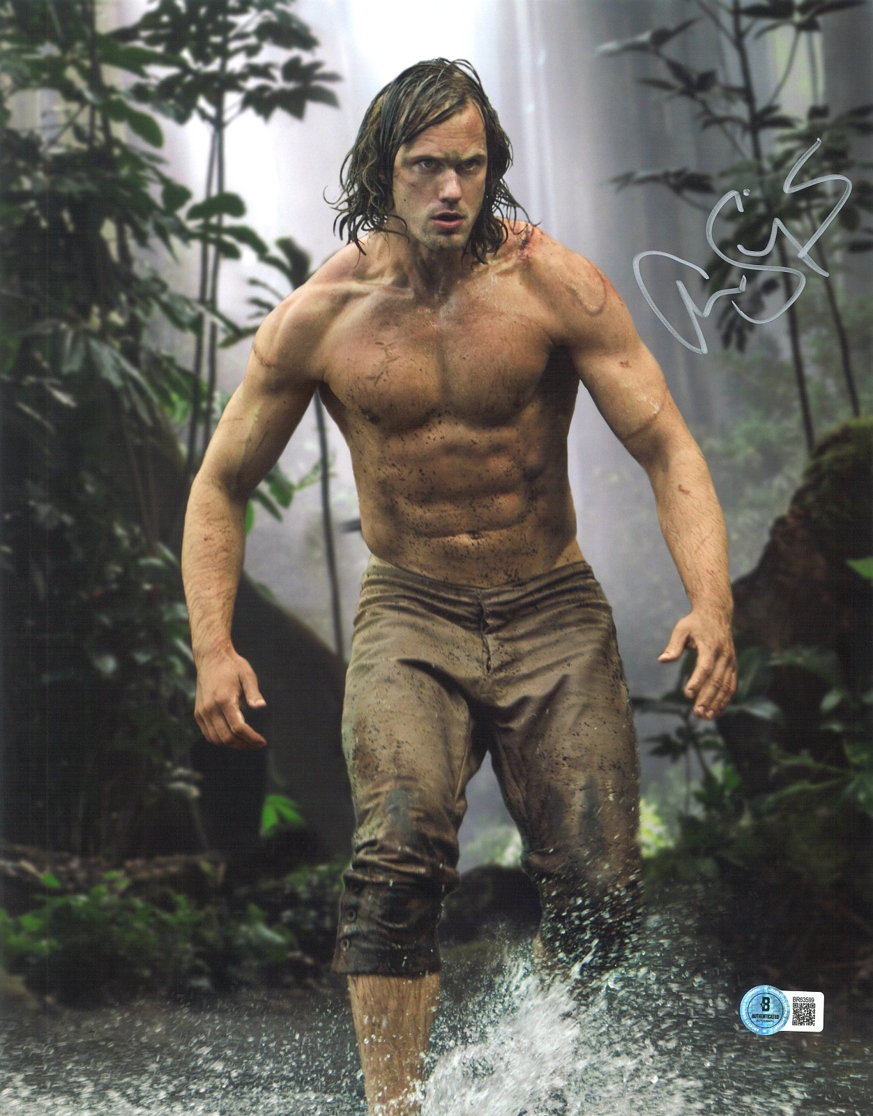 Alexander Skarsgard Signed Autograph The Legend of Tarzan 11x14 Photo Beckett