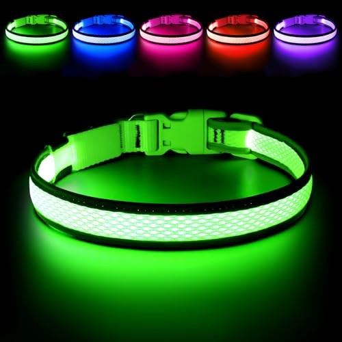  LED Dog Collar, Light Up Dog Collar Lights USB Rechargeable, Large Green