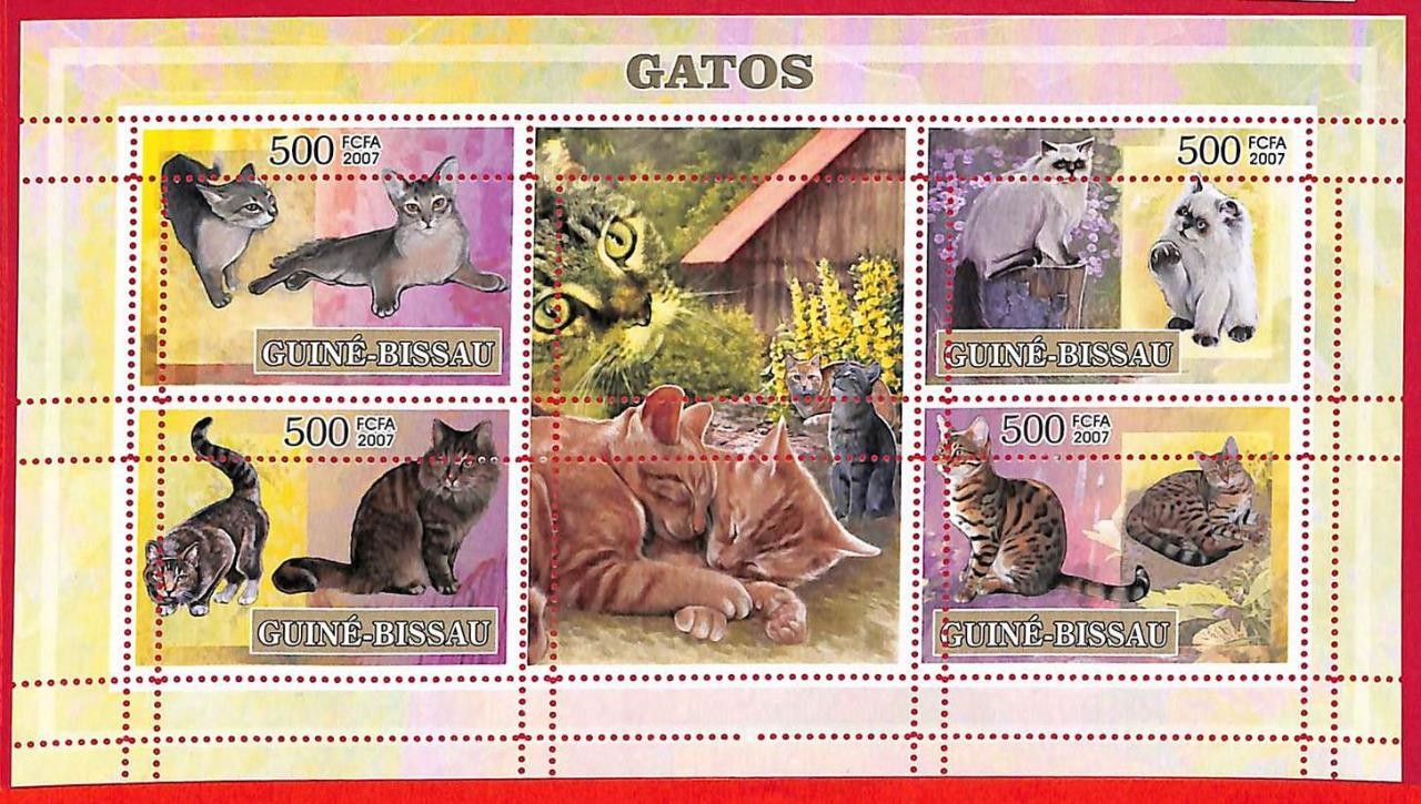 A5294 - GUINE-BISSAU - ERROR MISPERF Stamp Sheet - 2007 - Cats