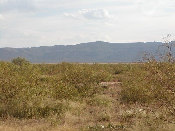 20 ACRES CULBERSON COUNTY TEXAS