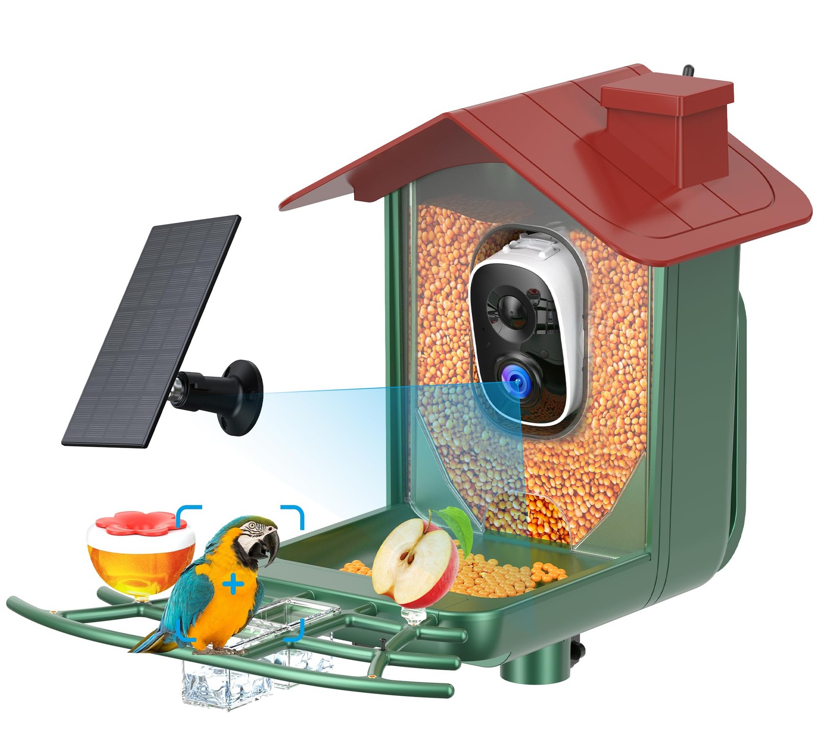 Smart Bird Feeder with Camera Outdoor: Solar Birdfeeder Cam for Outside Garde...