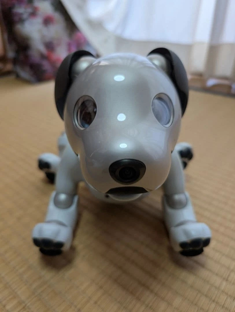 Sony AIBO ERS-1000 Entertainment Robot Dog Silver Ivory Mint Condition Japan JP