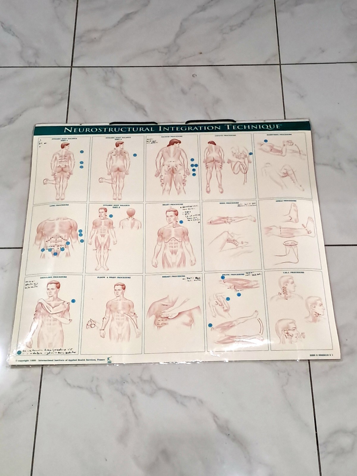 Vintage French Anatomical Poster