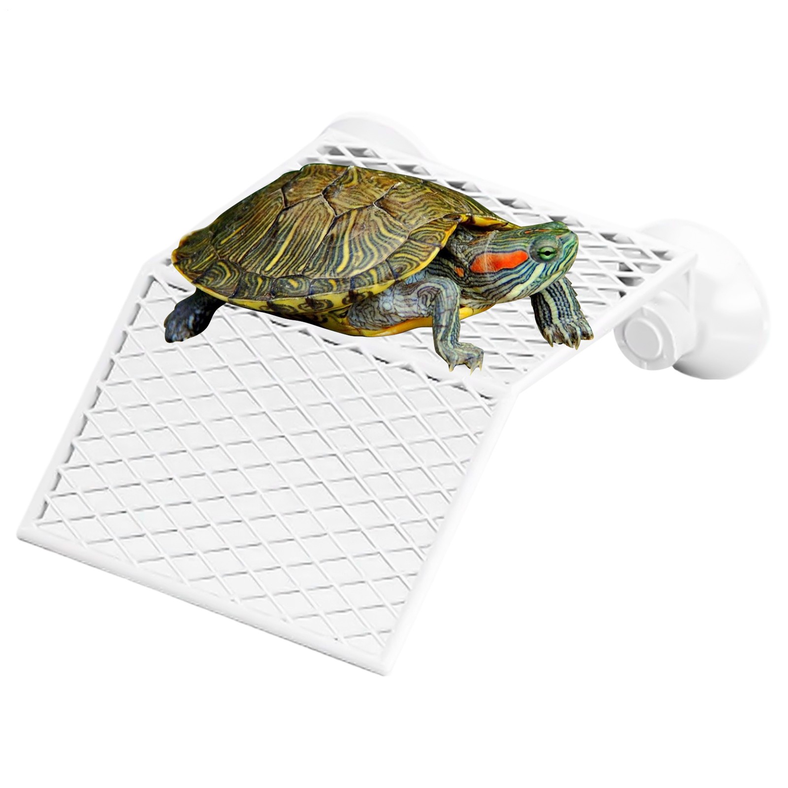 Suction Cup Turtle Basking Platform Turtle Tank Accessories for Aquatic Turtles