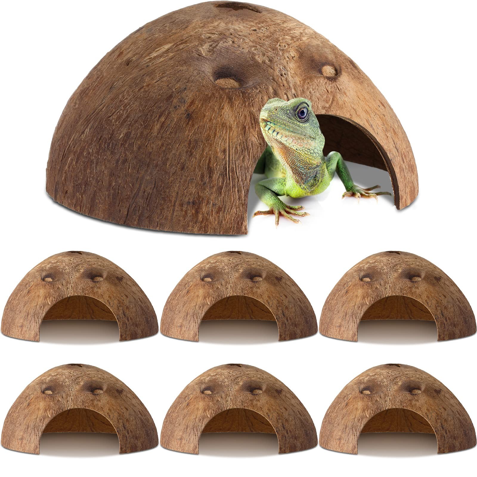 6 Pcs Natural Coconut Reptile Hideouts Coconut Hide for Reptiles Caves Hut Hi...