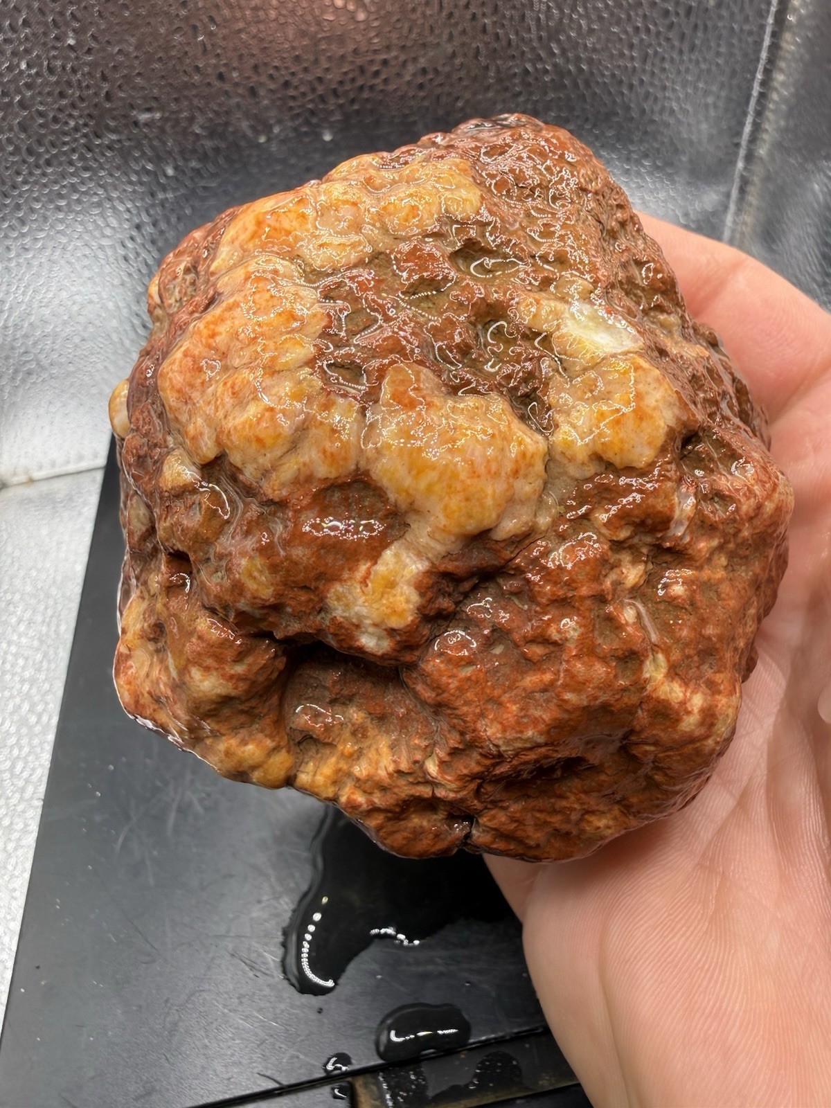 Ancient Fossilized Indiana Geode Iron Red Agate Hoosier Oddity 3,480 Carats