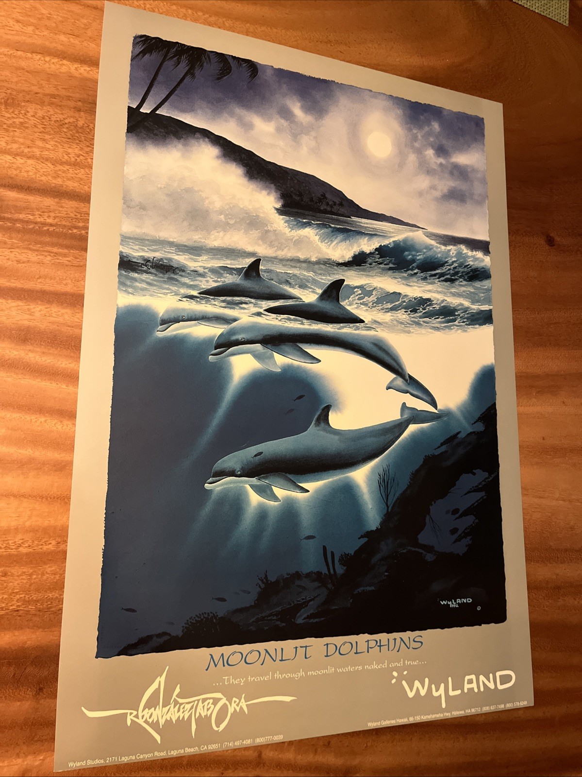 Wyland Moonlit Dolphins Waves Surf Poster Vintage Art Print Ocean Wildlife