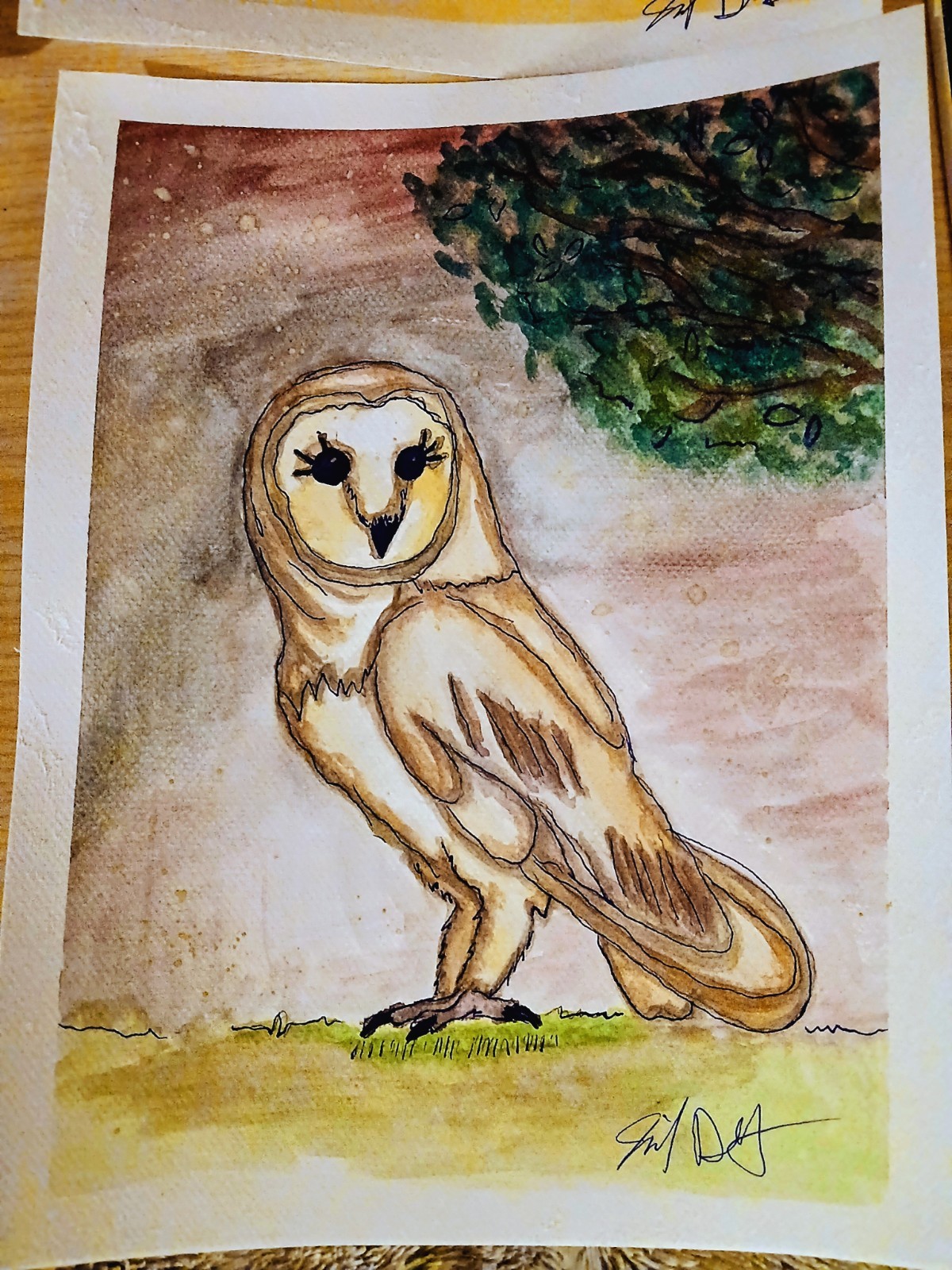 Original Owl Illustration Art Drawing Signed watercolor 