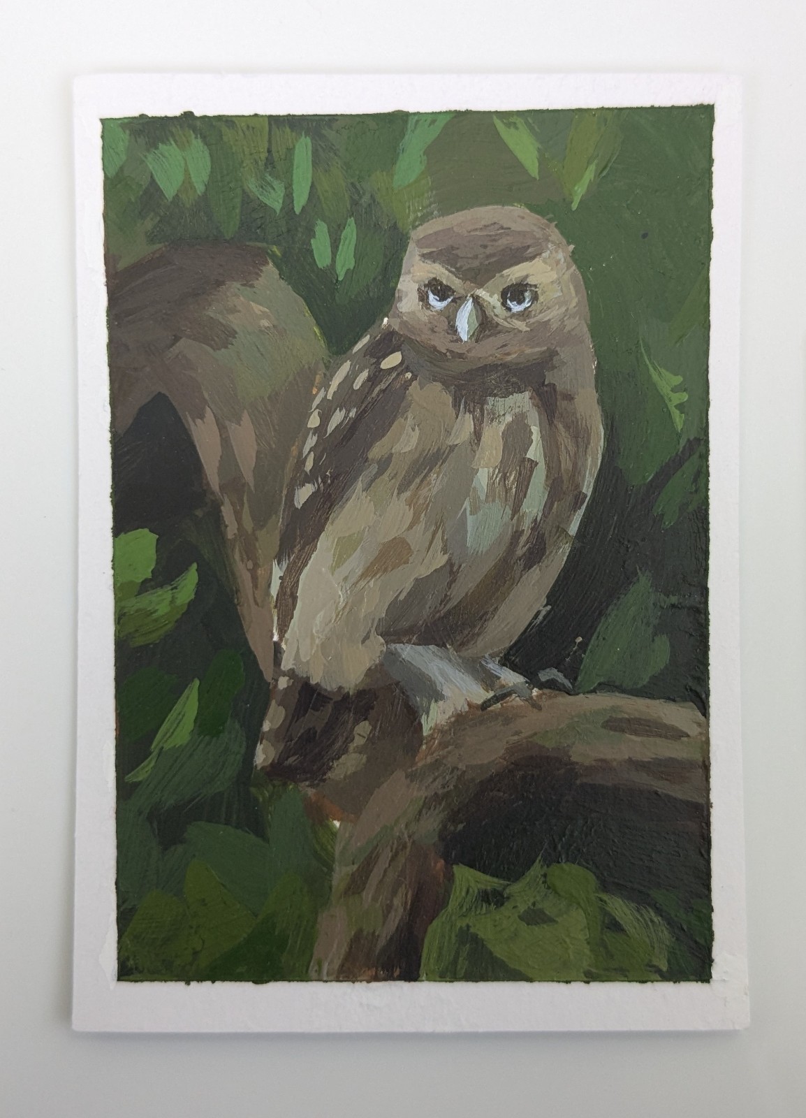 ACEO Original Acrylic Painting Art Card, Little Owl, Bird