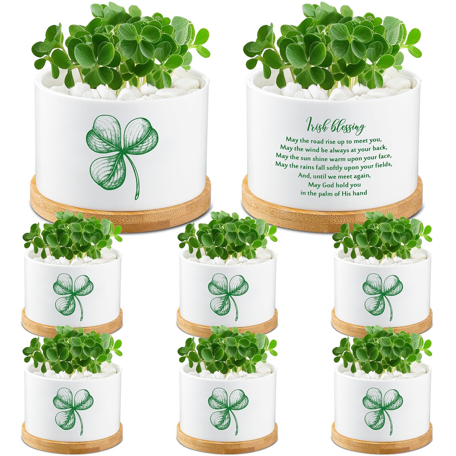 FillTouch 6 Pcs St Patrick's Mini Succulent Pots - 3.15 Inch Small Green 