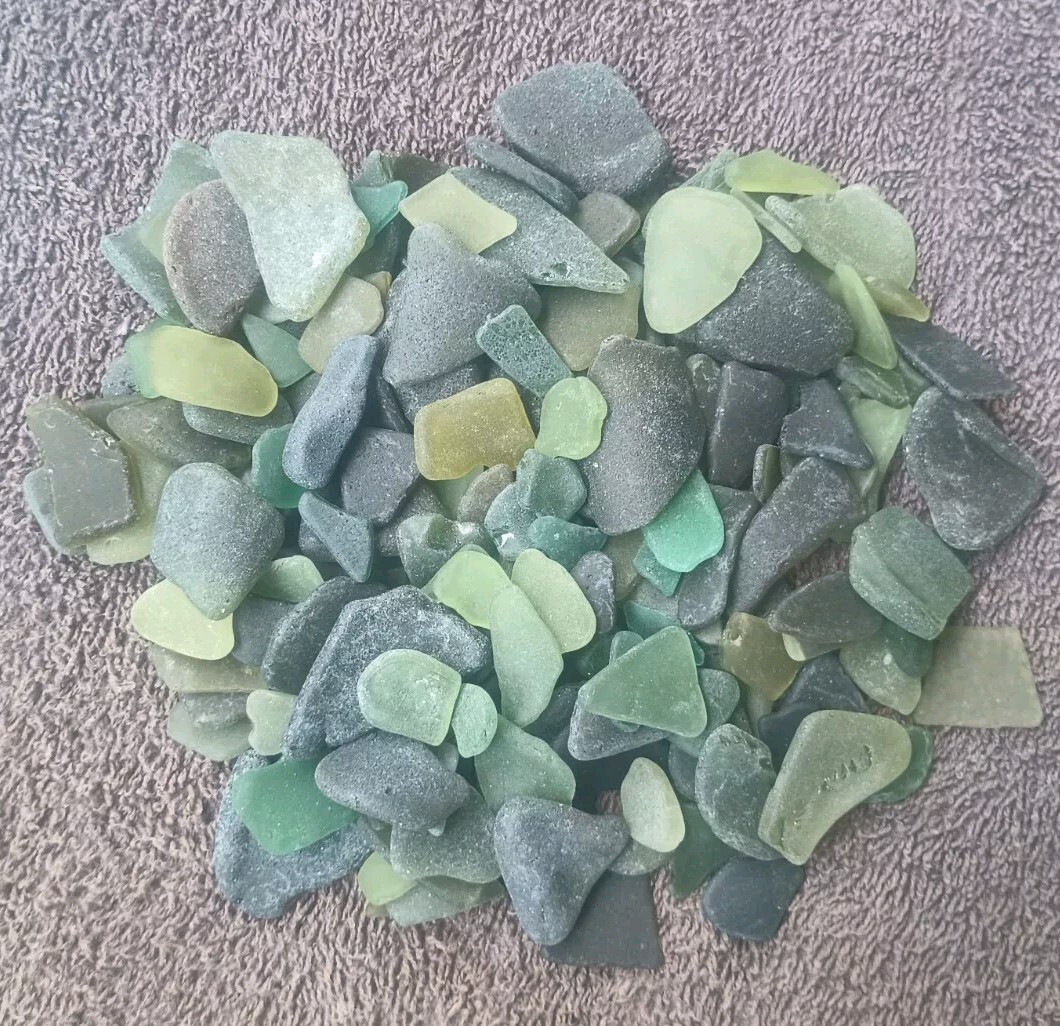 BEACH SEA GLASS SURF TUMBLED GREEN OLIVE LOT OVER 300 PIECES 2 LBS