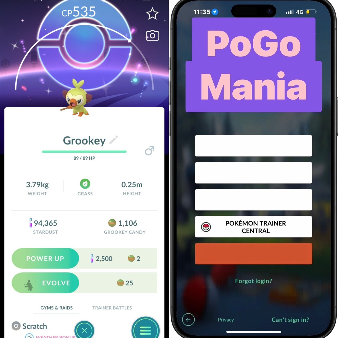 Shiny Grookey✨2026 CDay Special Background✨mini PTC 20k✨(read description)