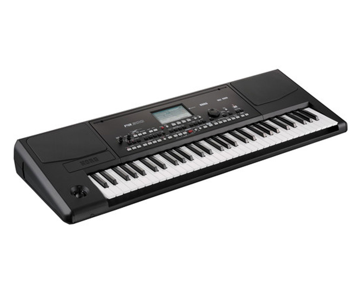 Korg PA300 61 Key Professional Arranger