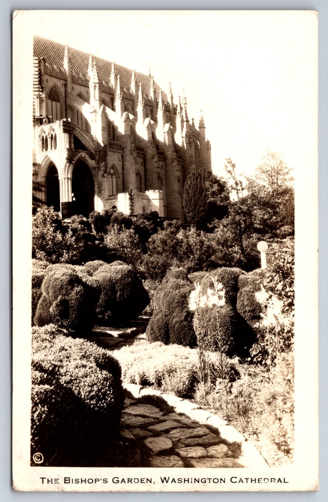 The Bishop's Garden Washington Cathedral Vintage RPPC Postcard