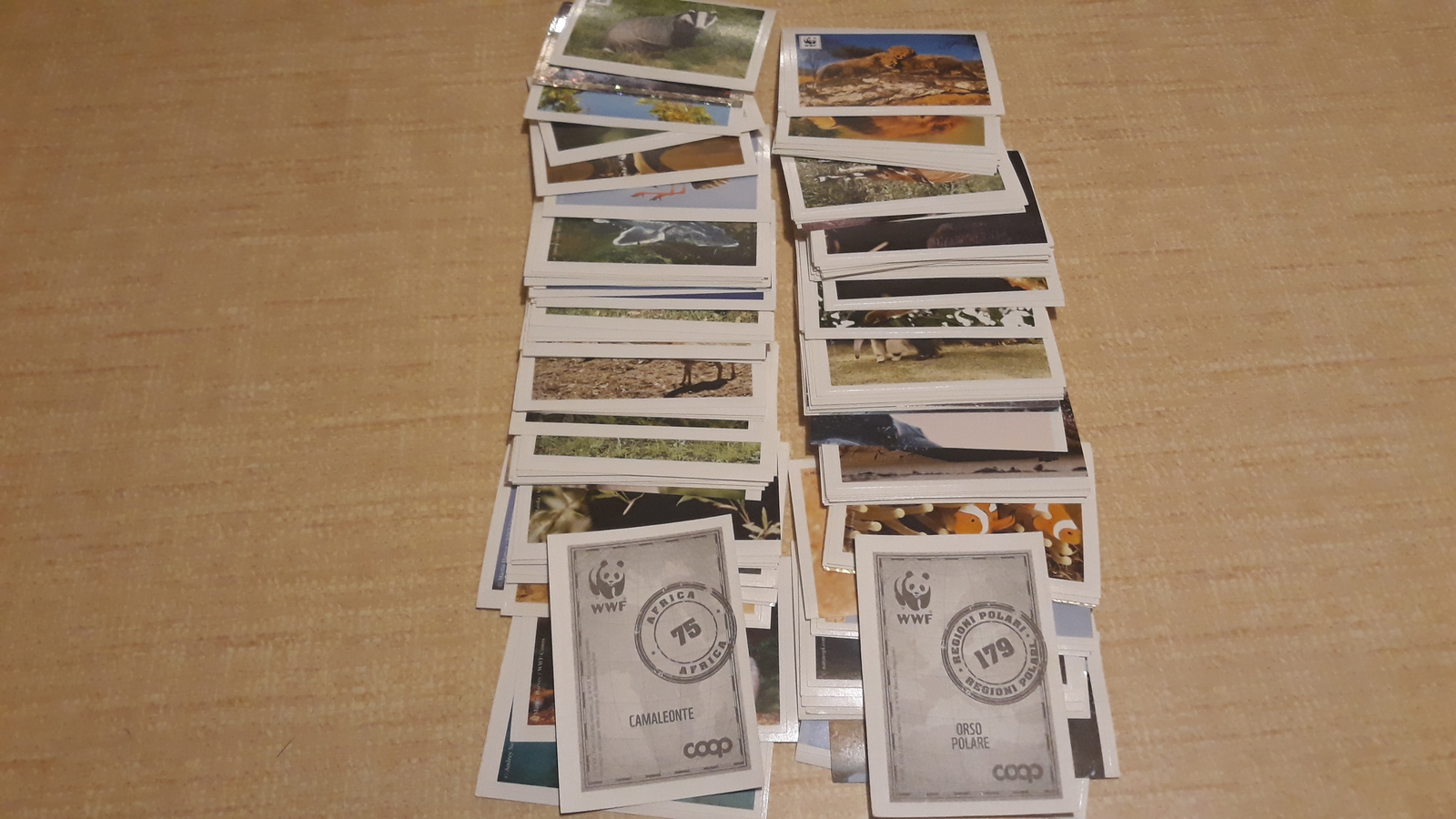 Lot of WWF Figurines Coop A